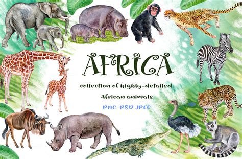 20% OFF African animals. Watercolor | Animal Illustrations ~ Creative ...