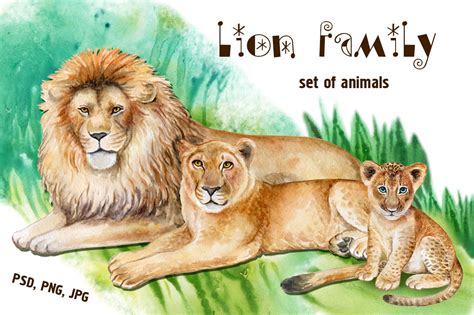 Lion Family. Watercolor By Yuliia Shmadchenko | TheHungryJPEG