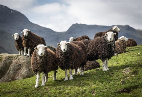 16 absolutely stunning images from the 2020 British Photography Awards - Country Life