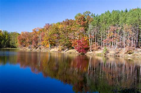 Minnesota Fall Colors Guide for This Weekend [State Map]