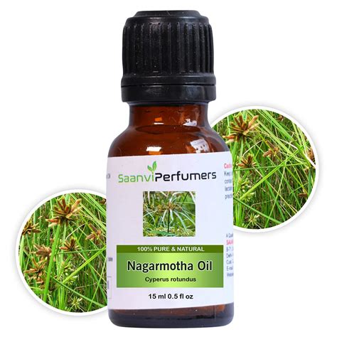 Saanvi Perfumers Nagarmotha Essential Oil | Nagarmotha Oil | Cypriol ...