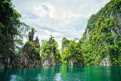 Enjoying an Exciting Jungle Vacation in Khao Sok National Park in ...