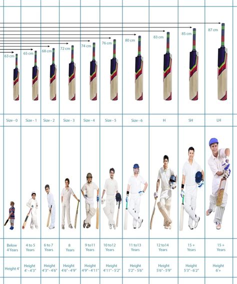 Cricket Bat Size Chart - Coding & AI Lab