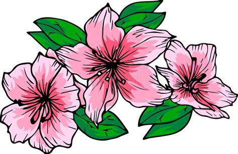 Azalea Plant Stock Illustrations – 2,561 Azalea Plant Stock Illustrations, Vectors & Clipart ...