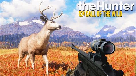 Going Hunting in the Hunter: Call of the Wild Multiplayer | the Hunter: Call of the Wild ...