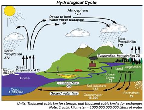 Understanding the Water Cycle — Vikaspedia