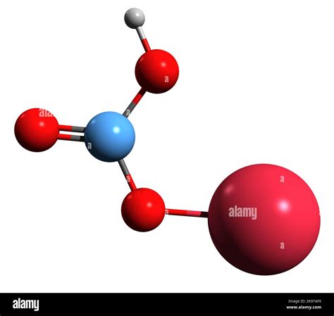 Bicarbonate Lewis Structure