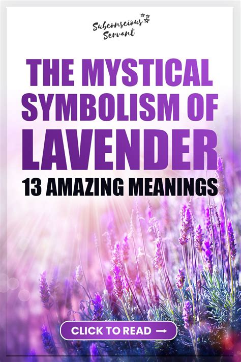 True Lavender, Lavender Scent, Lavender Essential Oil, Healing Powers ...