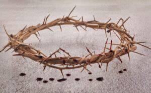 What Blood Type Was Jesus? (A, B, AB, O?) - Christianity FAQ