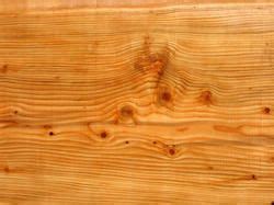 Deodar Wood - Suppliers, Manufacturers & Traders in India