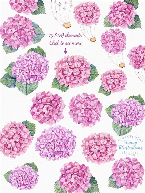 Watercolor Pink Hydrangea By Irina Diasli | TheHungryJPEG