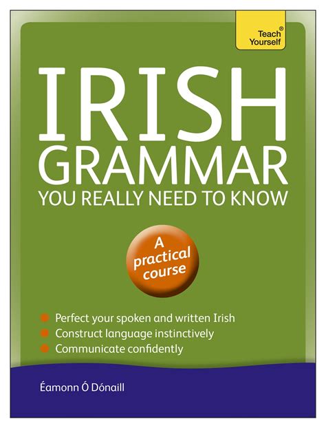 Irish Grammar You Really Need to Know: Teach Yourself by Éamonn Ó Dónaill | Hachette UK