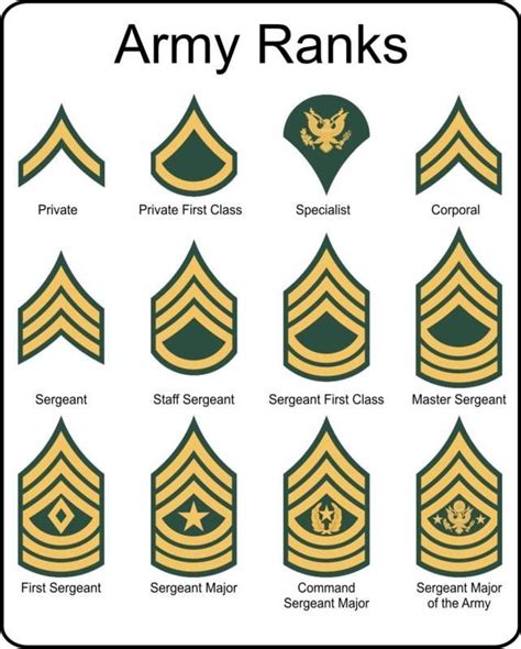 Military U.S. Army Rank insignia metal sign | Army ranks, Military ...