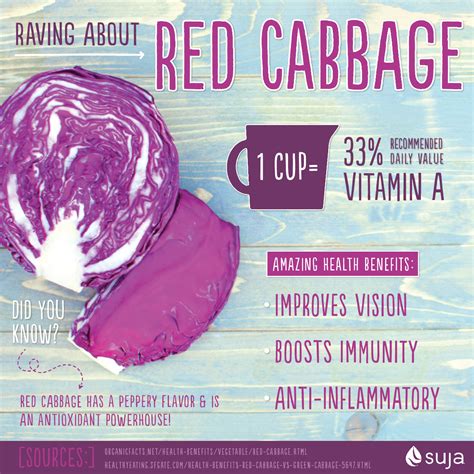 Health Benefits of Red Cabbage - Suja Juice | Cabbage health benefits, Vegetables health ...