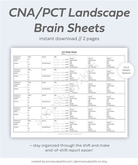 CNA Landscape Brain Sheet, CNA Brain Sheet, PCT Brain Sheet, Vital ...