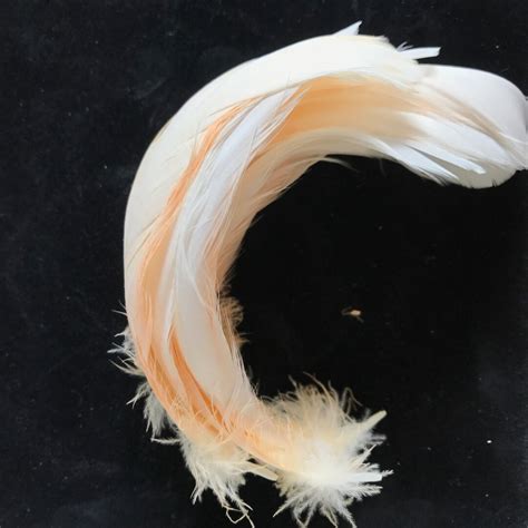 17 Cockatoo Feathers//7//real Naturally Molted Moluccan - Etsy