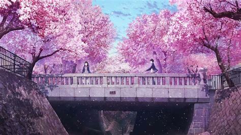 Download Cherry Blossoms Anime Scenery Girl Standing On Bridge ...