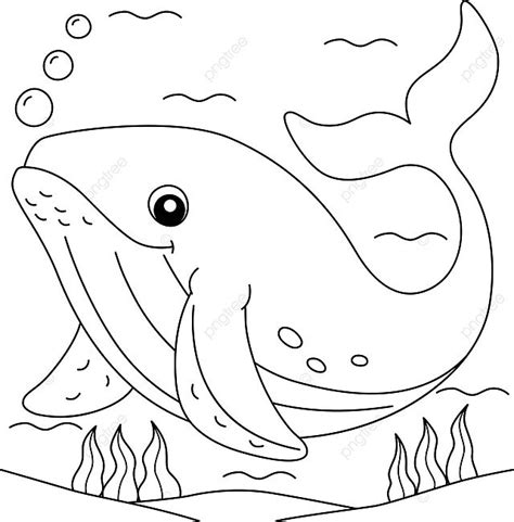 Humpback Whale Coloring Page For Kids Drawing Underwater Marine Vector ...