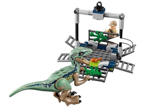 LEGO Jurassic World Dominion Owen Grady Minifigure (with Blue The Raptor And Dinosaur Egg) 75930 ...