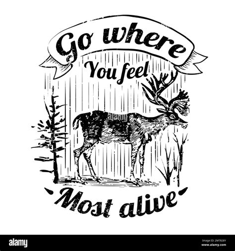 Go where you feel most alive badge vector Stock Vector Image & Art - Alamy