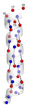 biochemistry - Why are the first and last amino acids of an alpha helix ...