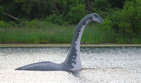 10 Facts About Elasmosaurus, Ancient Marine Reptile