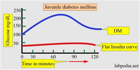 Insulin level (Insulin Assay) - Labpedia.net