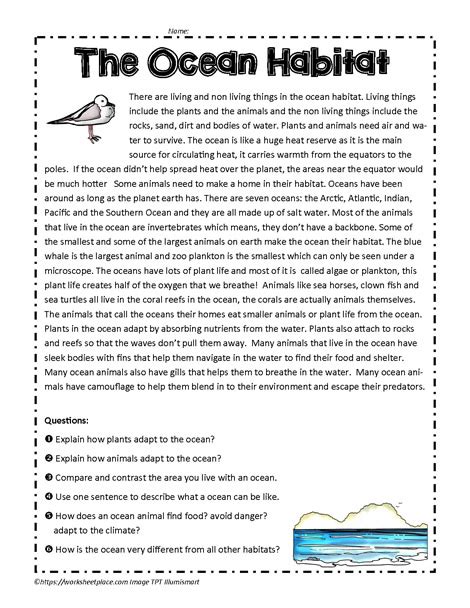 Ocean Habitat Comprehension Worksheets