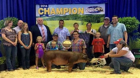 Lane Rinderer's grand champion barrow pig sells for $41,000 at Illinois ...