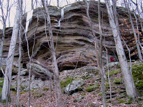 Hoosier National Forest, an Indiana natlforest | Indiana travel, National forest, Cool places to ...