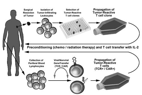 Recombinant DNA Technology in Emerging Modalities for Melanoma ...