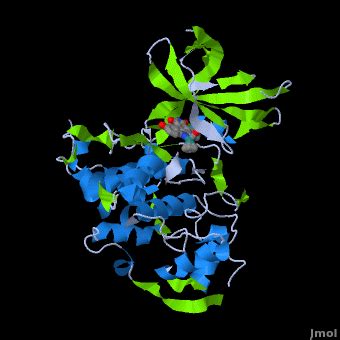 Glycogen synthase kinase 3 - Proteopedia, life in 3D