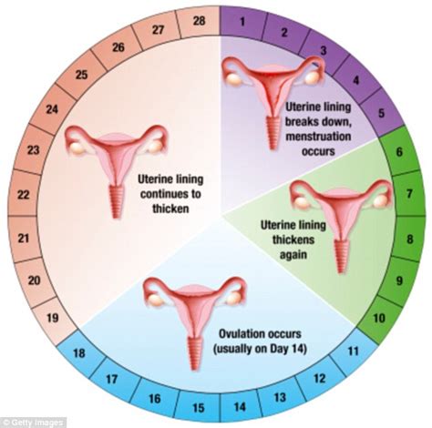 Menstrual Cycle | Irregular Periods | Infertility Treatment