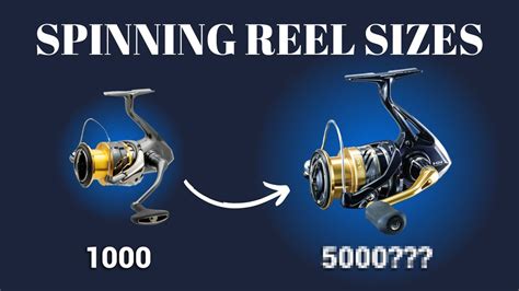 Spinning Reels And Rods Guide