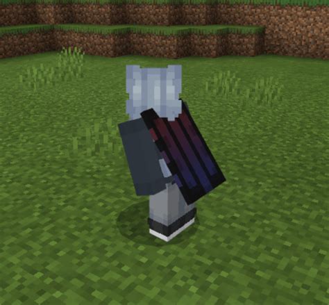 MCPE/Bedrock Custom Cape Resource Pack (50+ Capes) – .mcpack ...