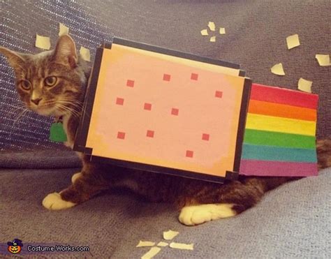 Nyan Cat Costume | Unique DIY Costumes