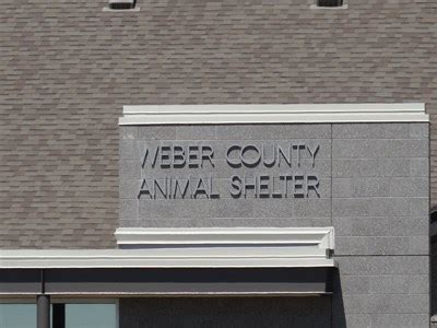 Weber County Animal Shelter - Ogden, Utah - Humane Societies and ...