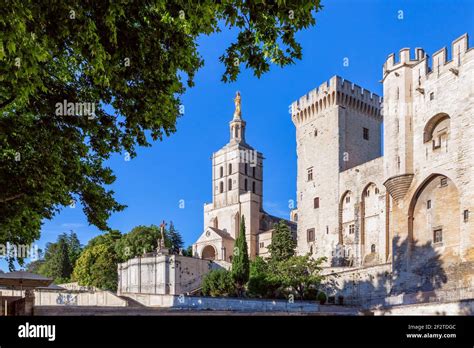 Beautiful view of Avignon cathedral (Cathedral of Our Lady of Doms) and Palace of the Popes in ...