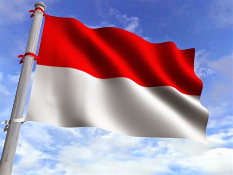 0 Result Images of Warna Tiang Bendera Merah Putih - PNG Image Collection