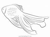 Goldfish Coloring Pages Printable sketch template