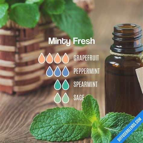 Minty Fresh | DiffuserBlends.com