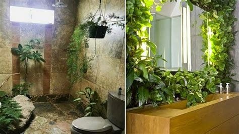 Plantas De Interior Para Cuarto De Baño - YouTube