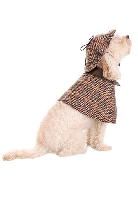 Sherlock Holmes Dog Costume