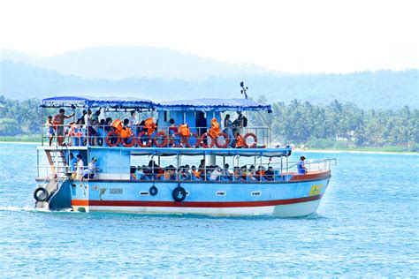 Discover Sri Lanka Mirissa Whale Watching | Top Tours & Experiences 2024