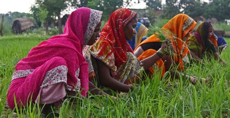 Boost for women farmers