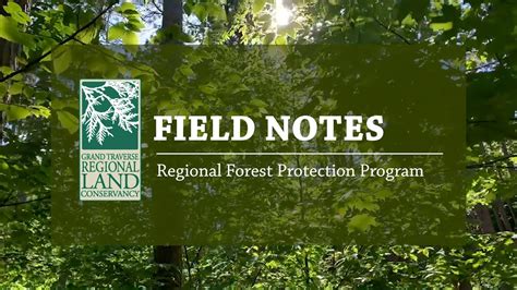 Regional Forest Protection Program Intro - YouTube