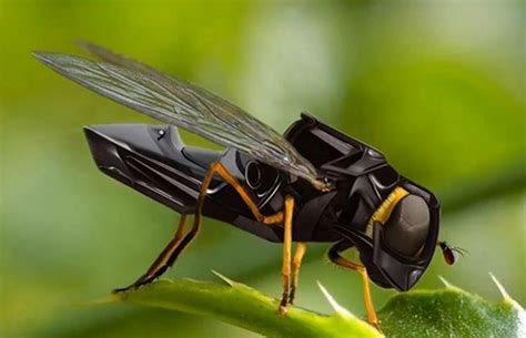 Cientistas criam Drone inseto, que voa batendo as asas - Engenharia Hoje