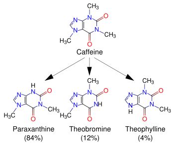 Caffeine Addiction: Caffeine Addiction