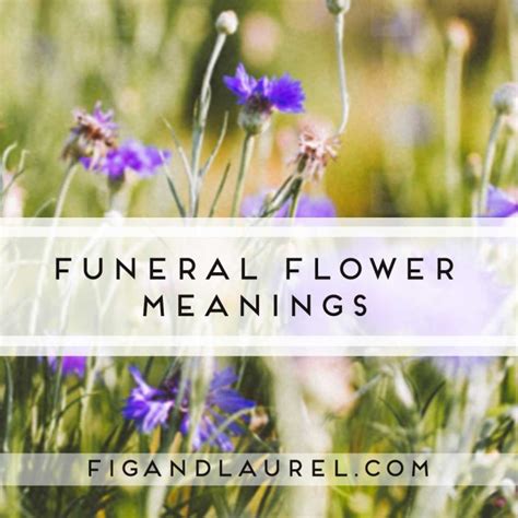 Meanings of Traditional Funeral & Sympathy Flowers Archives - Fig & Laurel