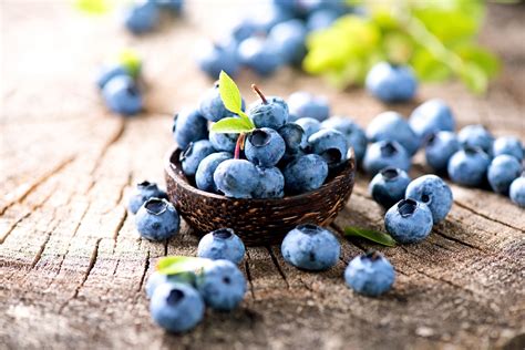 Study reveals impressive skin benefits of blueberries